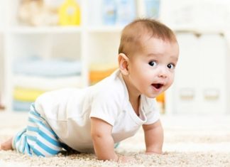 Bebek Sindirim Sisteminde Probiyotiklerin Rolü Bebek sindirim sistemi, yaşamın ilk aylarından itibaren gelişimini sürdüren hassas yapılardan biridir. Bu dönemde sağlıklı bir sindirim sistemi, yalnızca besinlerin doğru şekilde değerlendirilmesini değil, aynı zamanda bağışıklık sisteminin desteklenmesini ve genel gelişimin sağlıklı ilerlemesini de etkileyebilmektedir. Son yıllarda yapılan bilimsel çalışmalar, probiyotikler ve bağırsak mikrobiyotası arasındaki ilişkinin bebek gelişiminde önemli bir yere sahip olduğunu ortaya koymaktadır. Konulu bir haber görseli.